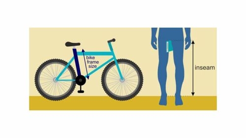 Maximizing the E-commerce Experience: A 5-Step Strategic Guide for bicycle purchasing 