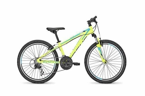 Focus Raven Rookie 24 1.0