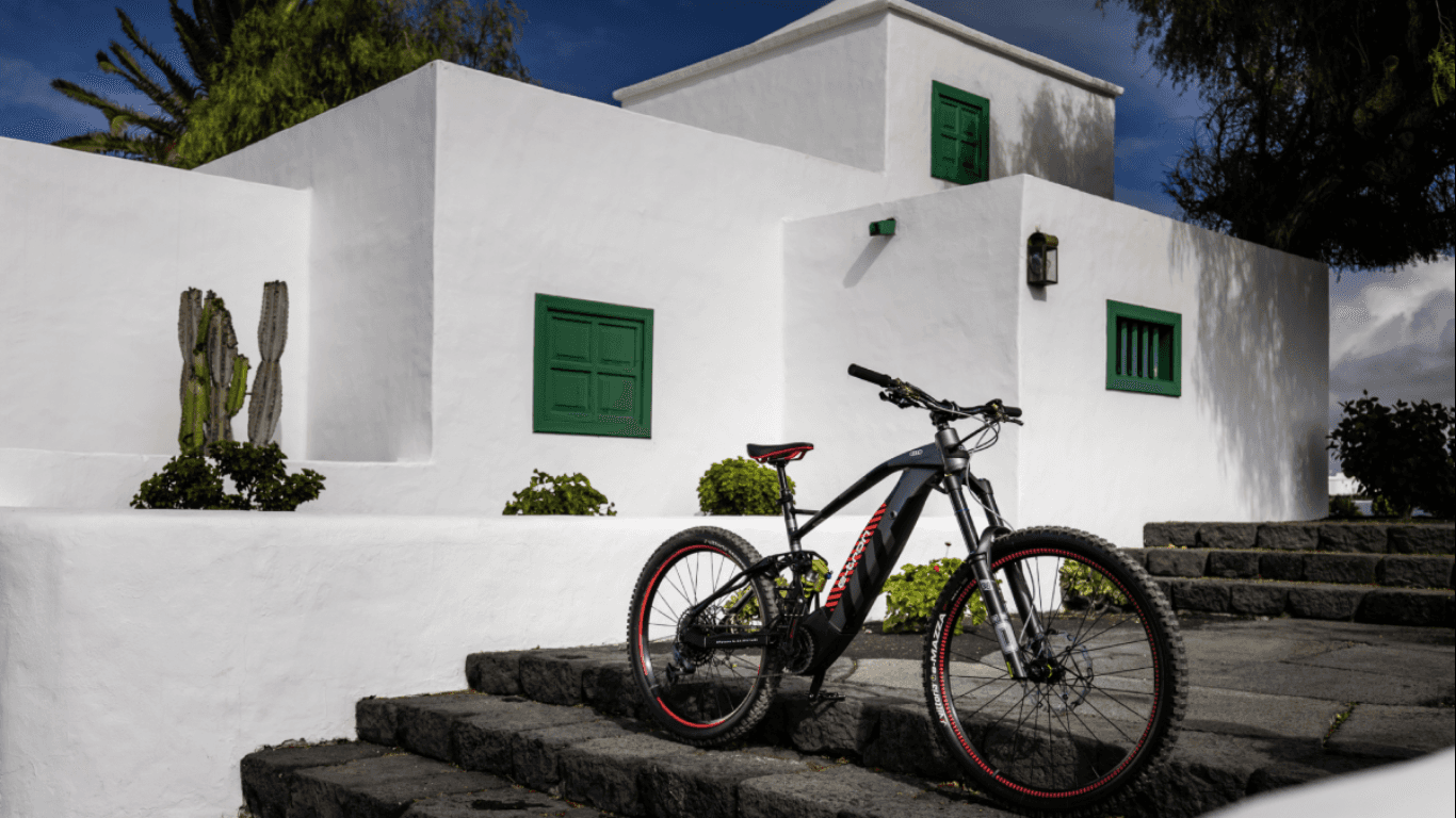 Audi Electric Mountain Bicycle (1).png