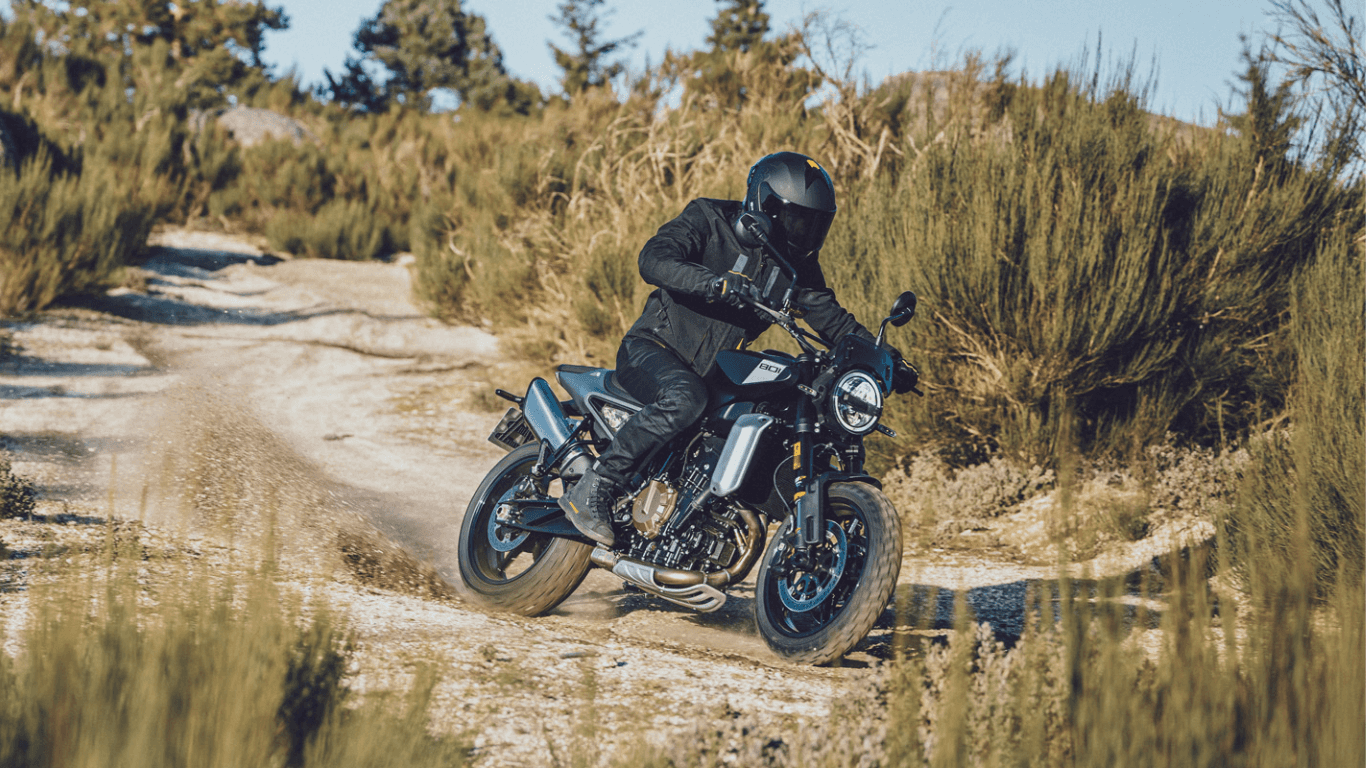 _Husqvarna Svartpilen 801.png