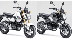 2024 Honda Grom 125 Debut in Japan | Fresh Look & Upgraded Accessories