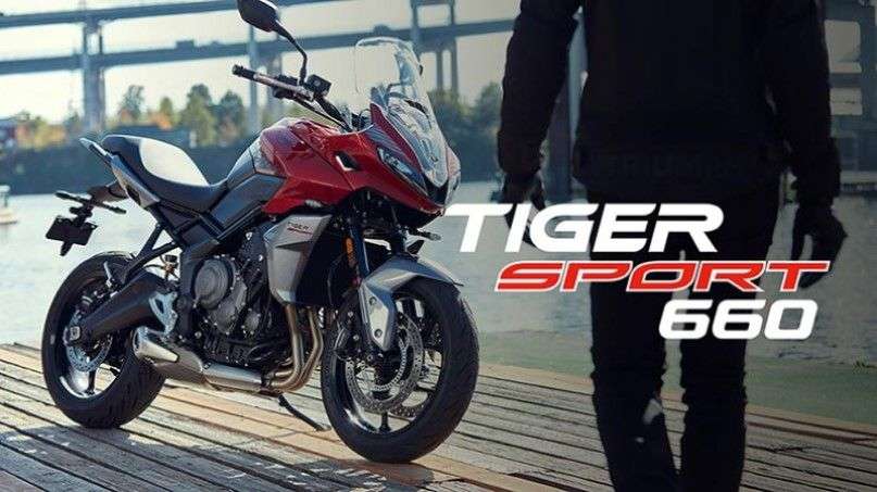 Tiger_2_286fcf30ee.jpg