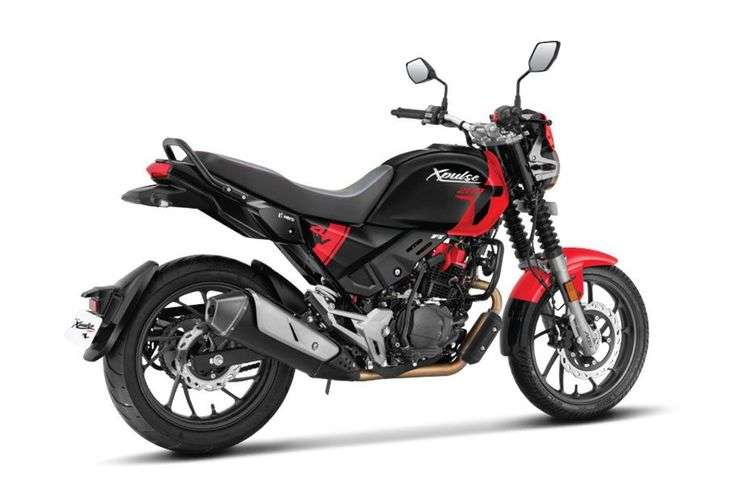 Hero-Xpulse-200T_rear-right-side