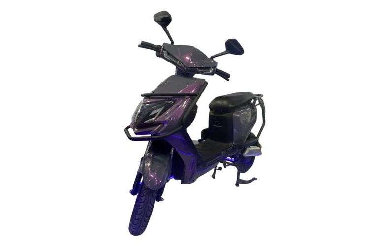 Vegh Driev Front View