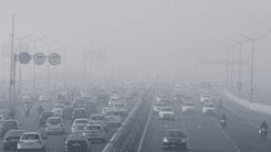 Fog Halts Delhi Traffic: Drive Safely with These Tips