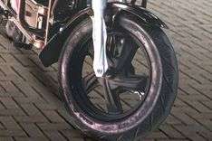 EVOLET Dhanno images
