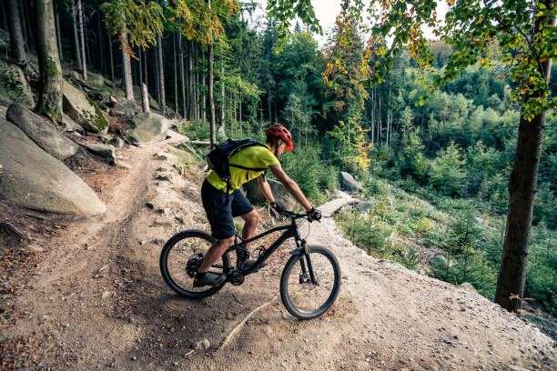 MTB