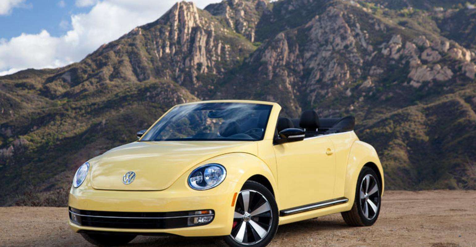 beetle