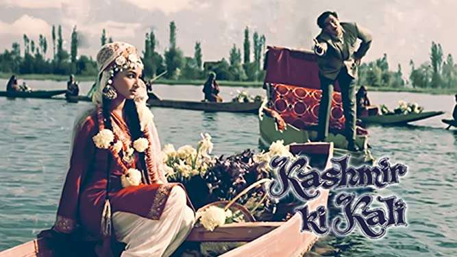 kashmir ki kali
