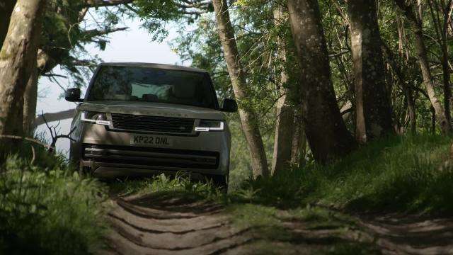 rangeroveroffroading