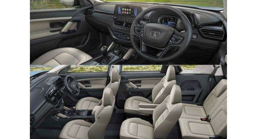 safari interior