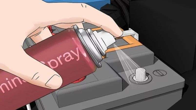 t2.jpg