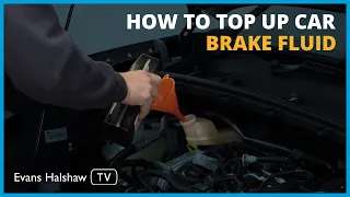 A concise tutorial on checking and topping up brake fluid levels.
