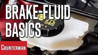 An overview of brake fluid types and their importance in vehicle safety.
