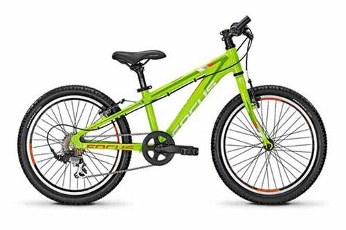 फोकस Raven Rookie KN 20