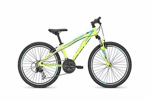 Focus Raven Rookie 24 1.0