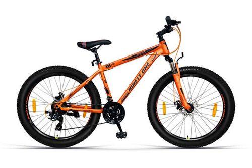 Ninety One REGIONX 26T