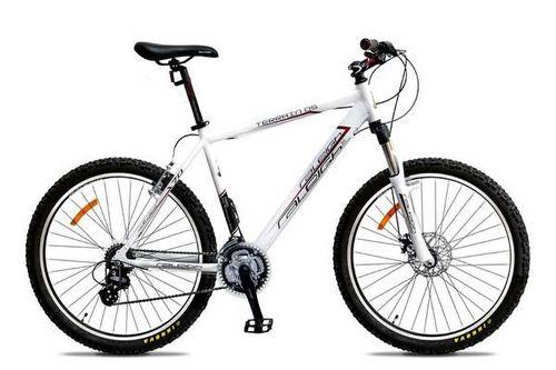 रेल्ली TERRAIN 05