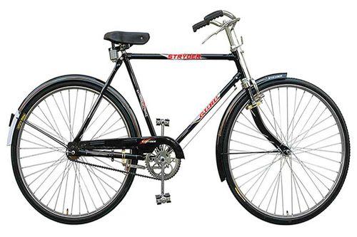 Tata-Stryder Guru 22T