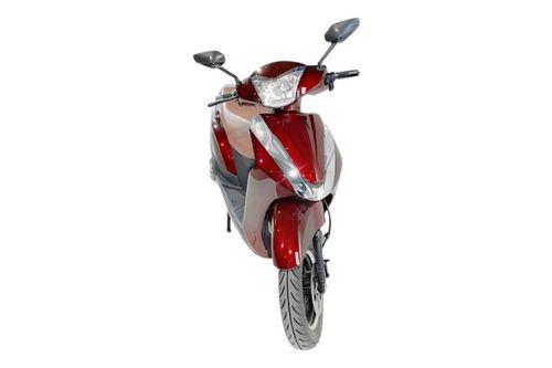 ईवीईएक्स ऑटो मेनिया