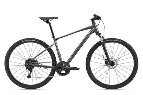 Giant Roam 2 Disc 2021