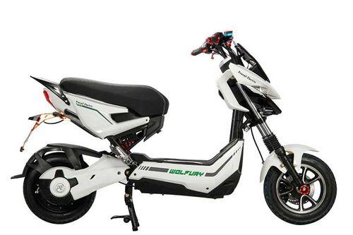 Prevail Electric Wolfury