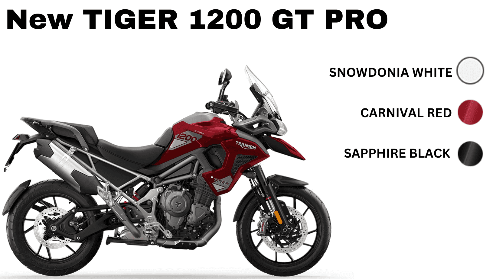 New TIGER 1200 GT PRO .png