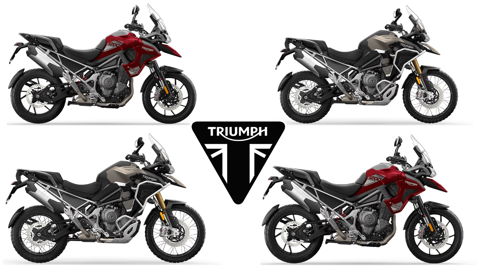 Triumph Unveils Updated Tiger 1200 Lineup for 2024, Get Insight of All New Updates news