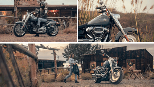A Comprehensive List of Harley-Davidson Cruiser Bikes for Every Rider