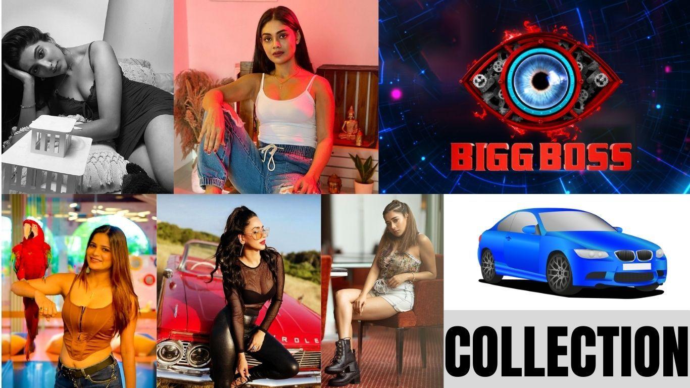 Bigg Boss 16 Contestants Car Collection | Most expensive car in the house