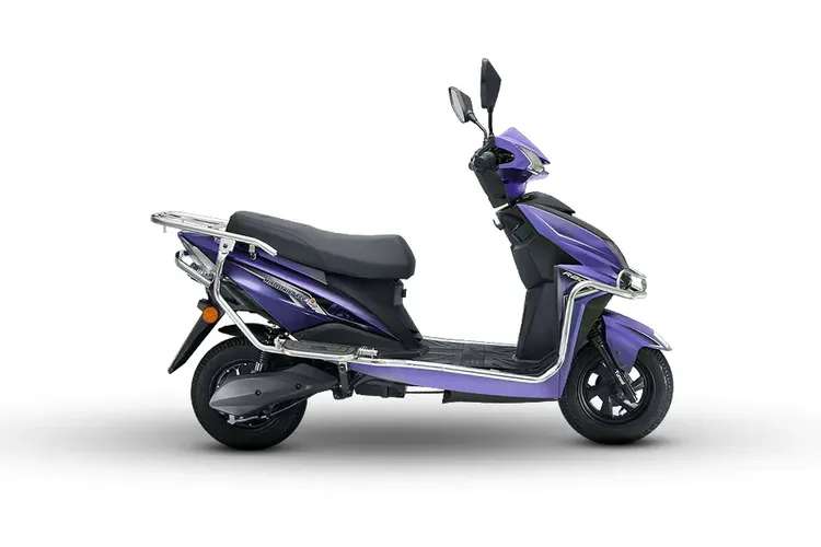 Purple Purple