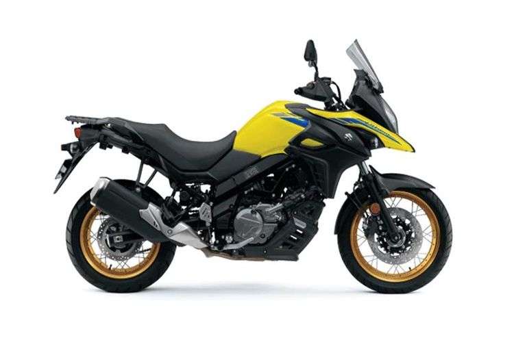 Champion Yellow Champion Yellow