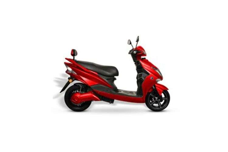 Racy Red Racy Red