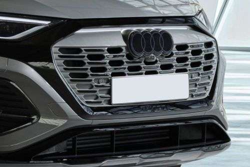 Audi Q8 e-tron Grille Audi Q8 e-tron Grille