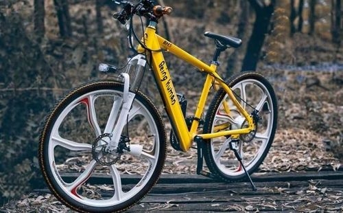 Electric Bicycles-The Future of India?