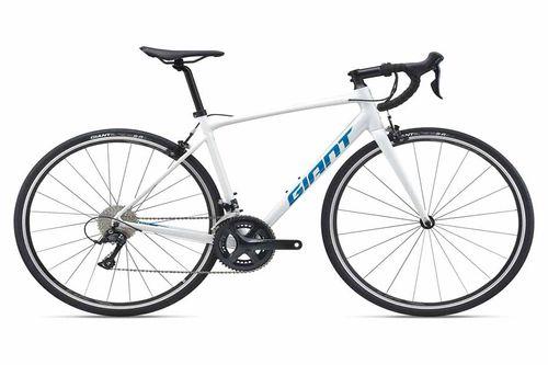 Giant Contend 1(2021) Giant Contend 1(2021)