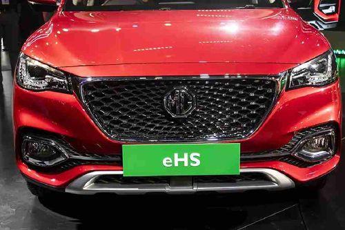 MG eHS Grille