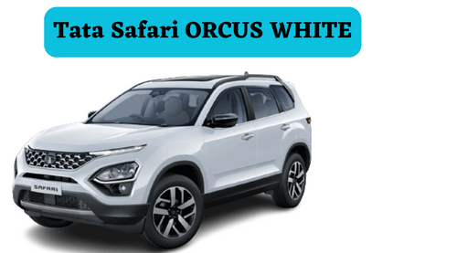 टाटा मोटर्स ने 2023 टाटा सफारी- कंपनी के फ्लैगशिप स्पोर्ट यूटिलिटी व्हीकल (एसयूवी) के लिए बुकिंग खोली टाटा मोटर्स ने 2023 टाटा सफारी- कंपनी के फ्लैगशिप स्पोर्ट यूटिलिटी व्हीकल (एसयूवी) के लिए बुकिंग खोली