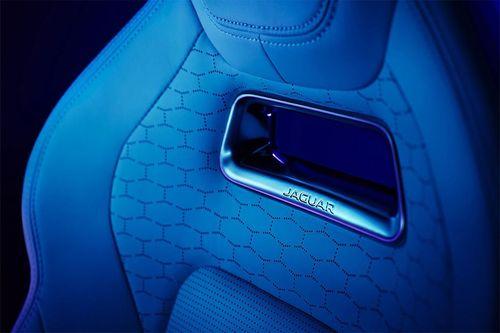 Sport and optional Performance seats with Monogram perforated Windsor leather
