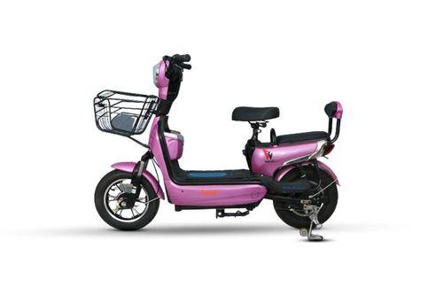 Warivo Motors Smarty scooter scooters