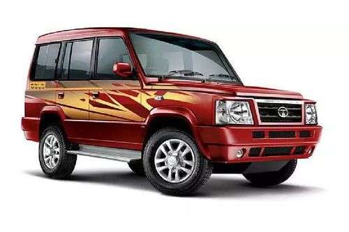 Sumo Gold Sumo Gold