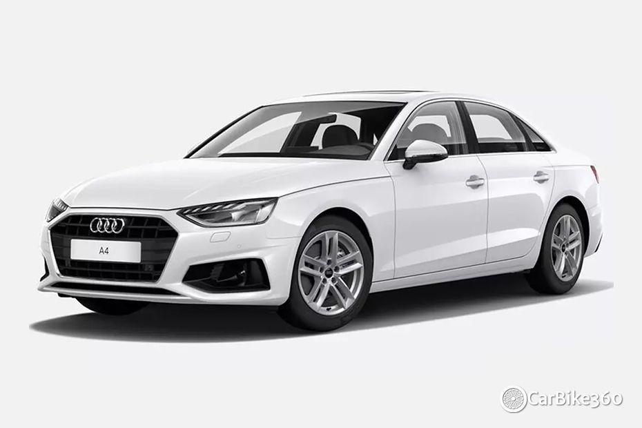 Ibis White Ibis White