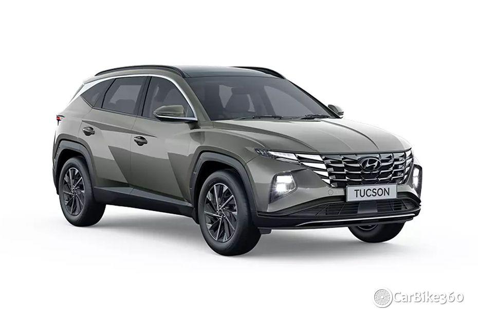 Amazon Grey Amazon Grey