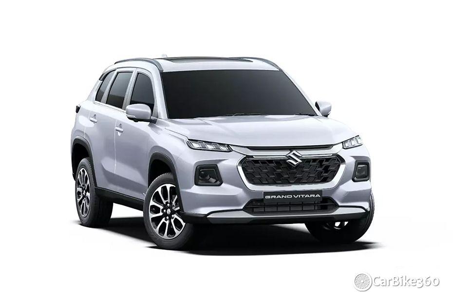 Arctic White Arctic White