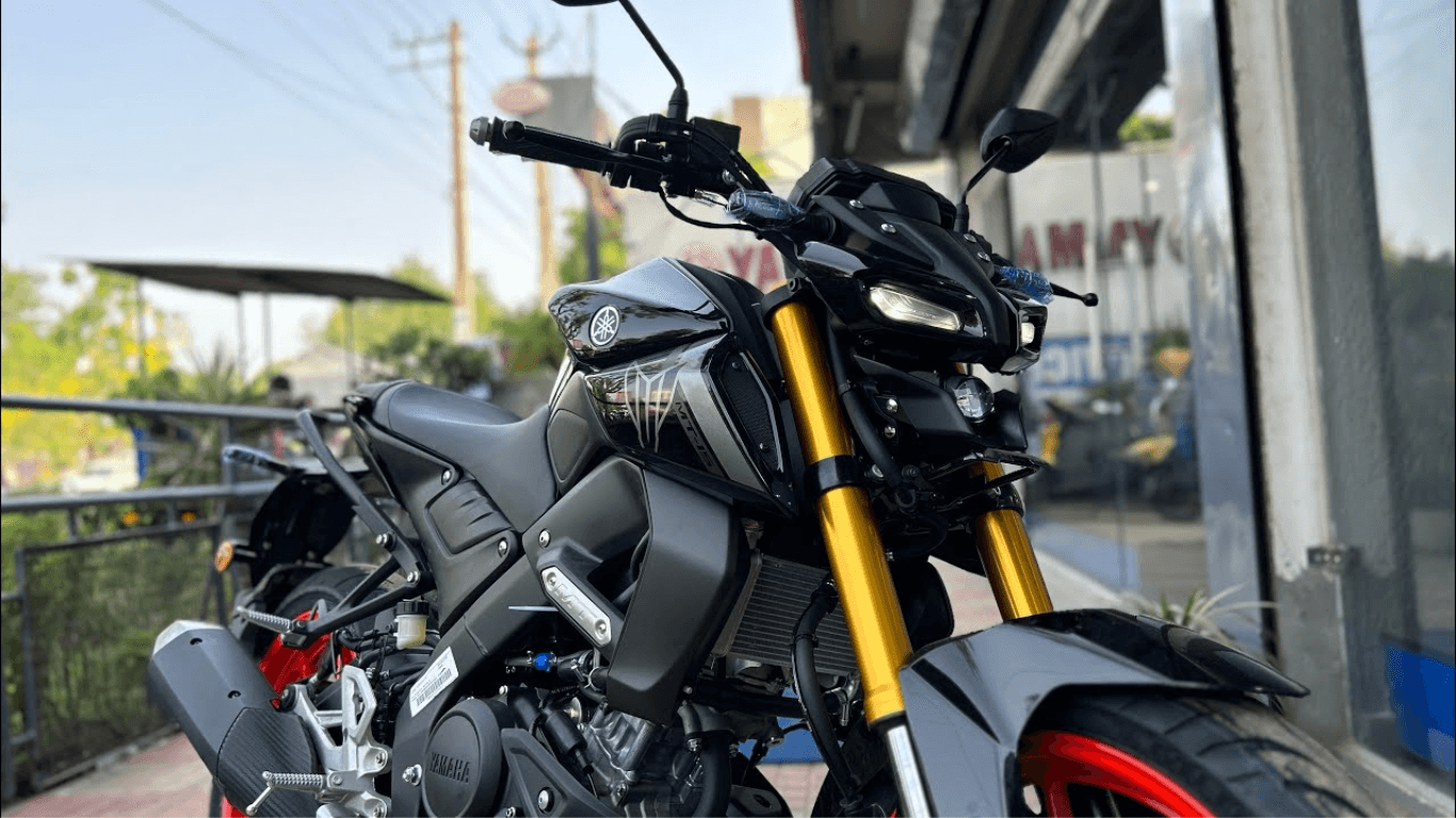yamaha-mt-15-modified-images (3).png