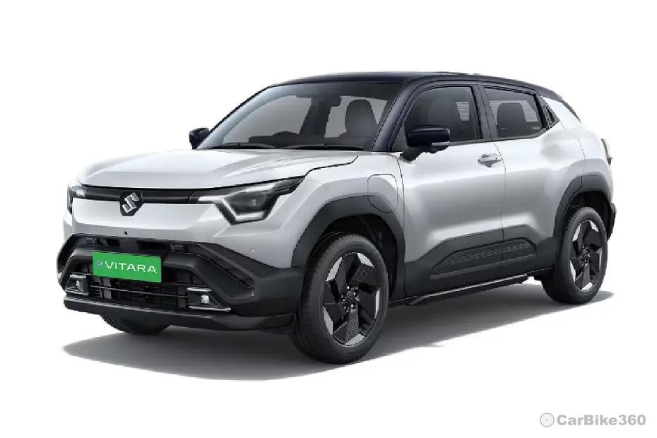 Splendid Silver wih Bluish Black Roof Splendid Silver wih Bluish Black Roof