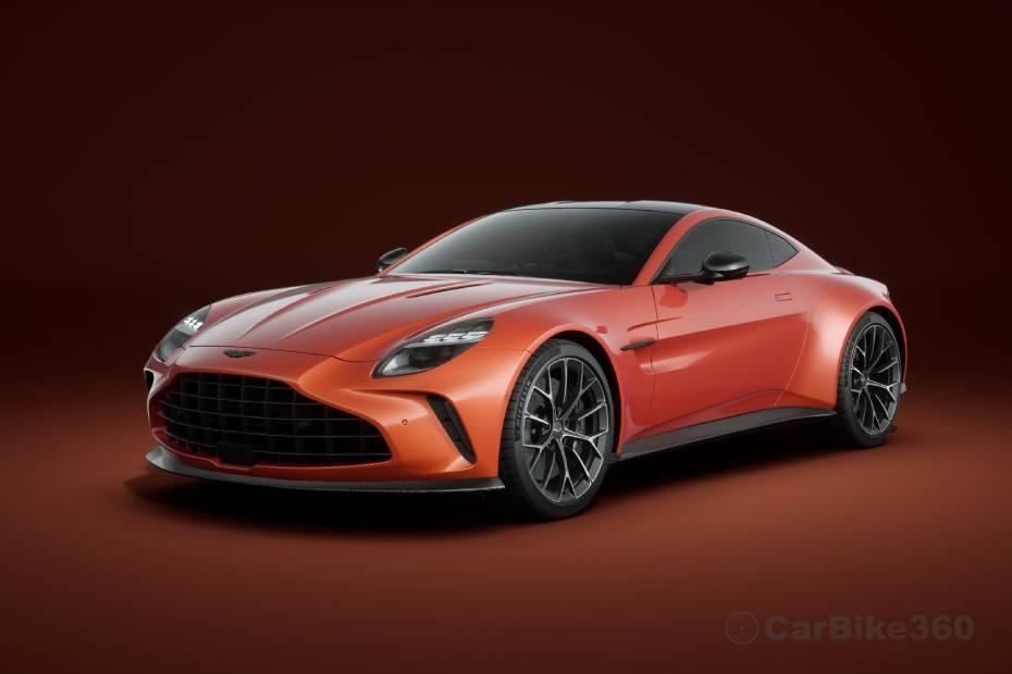 Cosmos Orange Cosmos Orange