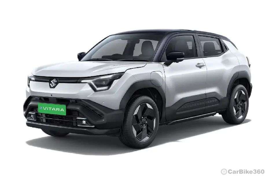 Splendid Silver with Bluish Black Roof Splendid Silver with Bluish Black Roof